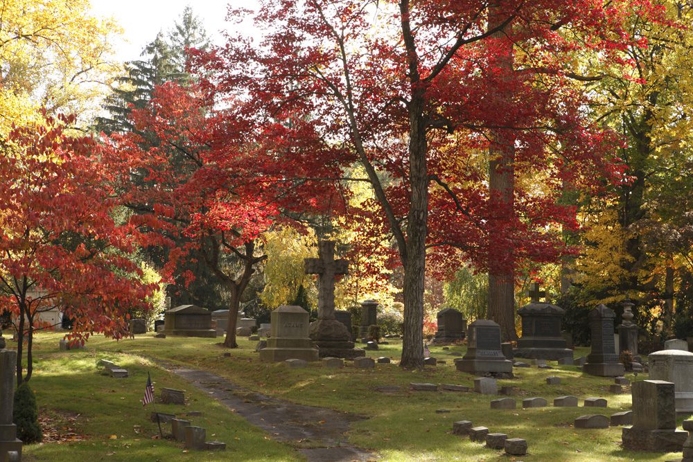 A view of a cemetery with trees with red leaves