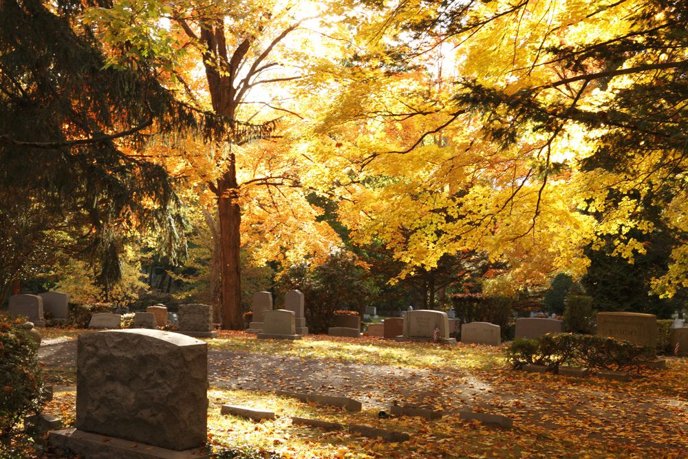 A view of a cemetery surrounded by trees with yellow leaves