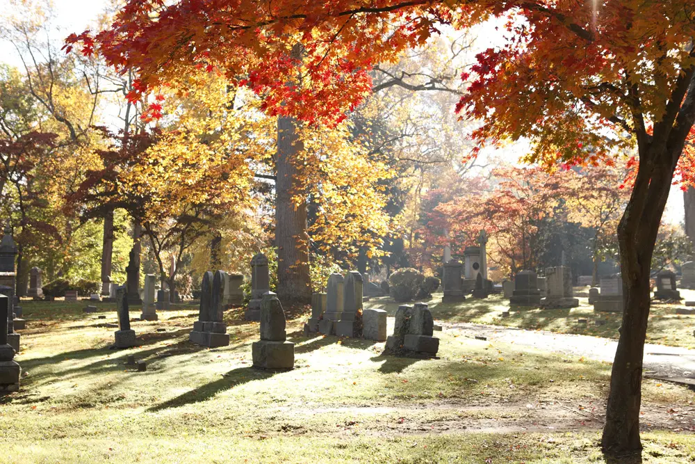 A view of a cemetery surrounded by trees with red leaves