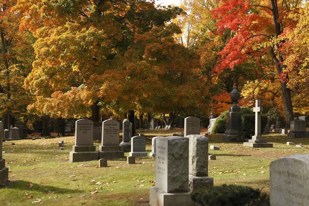 A view of a cemetery