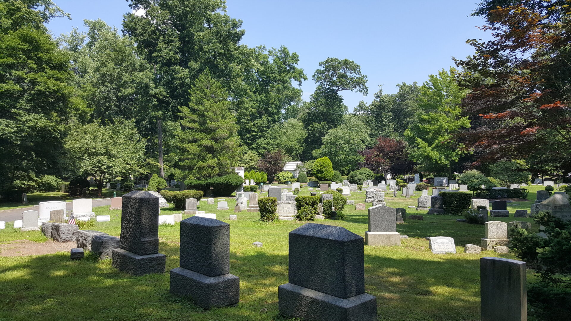 Tranquil graveyard surrounded by trees